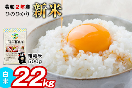 早期予約 令和2年産新米 熊本県産(御船町産含む) ひのひかり(白米)約15kg(5kg×3袋) 二十一雑穀米も一緒にお届け! 精米 白米《2020年11月上旬-2021年1月下旬頃より順次出荷》