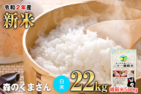 早期予約 令和2年産新米 熊本県産(御船町産含む) 森のくまさん(白米)約15kg(5kg×3袋) 国産21雑穀米一緒にお届け♪熊本県産米と安心安全の国産雑穀米セット 精米 白米《2020年11月上旬-2021年1月下旬頃より順次出荷》