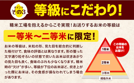 【3ヶ月定期便】令和7年産 無洗米 森のくまさん 5kg(5kg×1袋)《お申し込みの翌月から出荷》