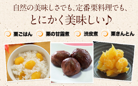 【先行予約】利平栗 約1kg(3L-2Lサイズ)《2026年9月上旬-10月上旬出荷》