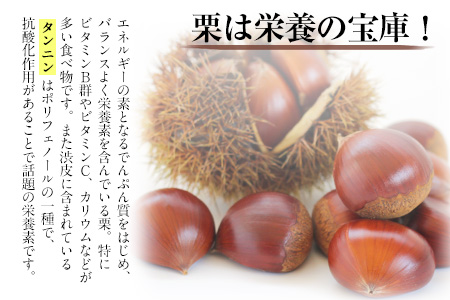 【先行予約】生栗 先行予約  約2kg(2L-Lサイズ) 《2026年9月上旬-9月下旬頃出荷》