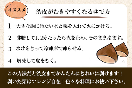 【先行予約】生栗 先行予約  約2kg(2L-Lサイズ) 《2026年9月上旬-9月下旬頃出荷》