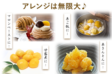 【先行予約】生栗 先行予約  約2kg(2L-Lサイズ) 《2026年9月上旬-9月下旬頃出荷》