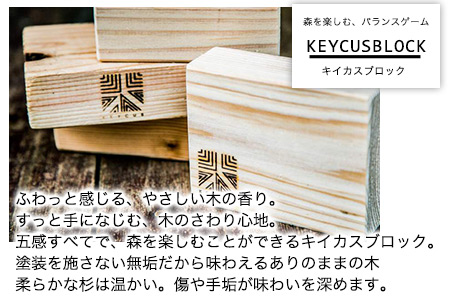 熊本県 御船町 キイカスブロック 30個 木のおもちゃ 森のバランスゲーム KEYCUSプロジェクト事務局 國武林業《30日以内に出荷予定(土日祝除く)》