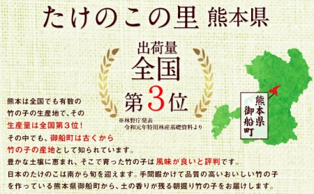 【2025年3月先行予約】熊本県 御船町 掘りたて たけのこ 2kg タケノコ 竹の子 冷蔵 ギフト グルメ 野菜 お祝い 春 筍《2025年3月上旬-4月下旬頃出荷》 有限会社ニシムラ