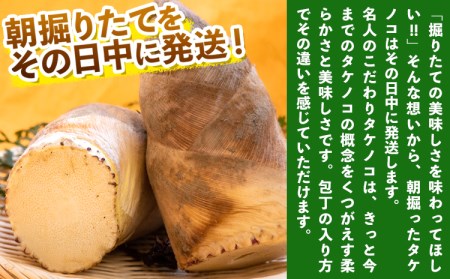 【先行予約】掘りたて たけのこ 4kg 有限会社ニシムラ