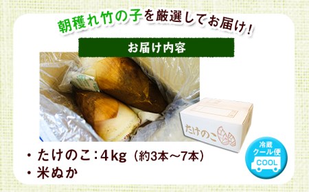 【先行予約】掘りたて たけのこ 4kg 有限会社ニシムラ