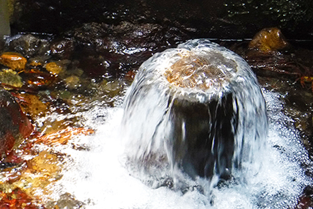 定期便6ヶ月 い・ろ・は・す阿蘇の天然水 2L 6本入り×2ケース《お申込み月の翌月から出荷開始》