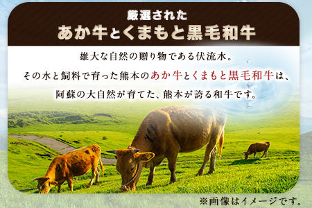 あか牛 くまもと黒毛和牛 もつ鍋セット肉のみやべ
