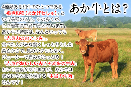 あか牛 切り落とし 500g 肉のみやべ