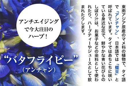 御船町 アンチャンティー 3袋(1袋5パック入り)《30日以内に順次出荷