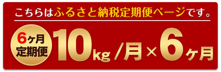 令和5年産 森のくまさん 【6ヶ月定期便】 無洗米 《お申込み月の翌月から出荷開始》 10kg (5kg×2袋)  計6回お届け 熊本県産 単一原料米 森くま 熊本県 御船町