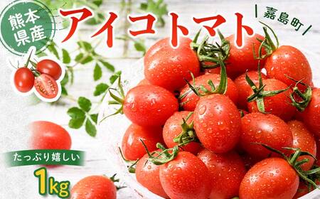 FKK19-747_ 【先行予約】 嘉島町産アイコトマト1kg ※2024年11月中旬より順次発送 もぎたて 産地直送 産直 有機肥料 甘い フルーティー ミニトマト プチトマト リコピン 新鮮 フレッシュ サラダ 朝食 野菜 食品