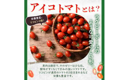 FKK19-747_ 【先行予約】 嘉島町産アイコトマト1kg ※2024年11月中旬より順次発送 もぎたて 産地直送 産直 有機肥料 甘い フルーティー ミニトマト プチトマト リコピン 新鮮 フレッシュ サラダ 朝食 野菜 食品