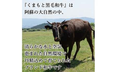 FK7-0011_ 【訳あり】【A4～A5】 くまもと黒毛和牛切り落とし 1.5kg（500g×3p）