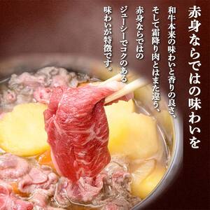 FKK19-994_ あか牛切り落とし600g(300g×2パック)