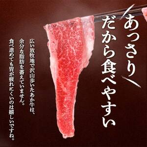 FKK19-994_ あか牛切り落とし600g(300g×2パック)