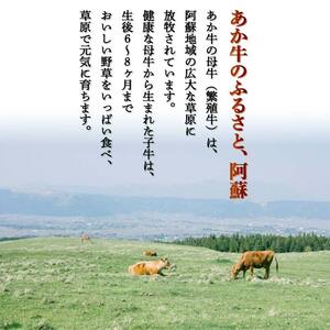 FKK19-994_ あか牛切り落とし600g(300g×2パック)