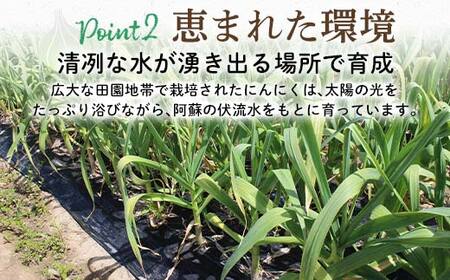 FK7-0180_【先行予約】嘉島町産 乾燥にんにく500g