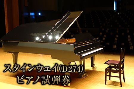 スタインウェイ(D274)ピアノ 2時間試弾券(5名様まで利用可) 《30日以内に順次出荷(土日祝除く)》嘉島町 嘉島町民会館・アクアホール