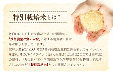 熊本県嘉島町 3か月定期便 くまさんの輝き 5kg 計3回お届け Jaかみましき 上益城産 お申込み月の翌月から出荷開始 令和2年産 国産 嘉島町産 熊本県嘉島町 ふるさと納税サイト ふるなび
