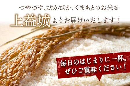 熊本県嘉島町 3か月定期便 くまさんの輝き 5kg 計3回お届け Jaかみましき 上益城産 お申込み月の翌月から出荷開始 令和2年産 国産 嘉島町産 熊本県嘉島町 ふるさと納税サイト ふるなび