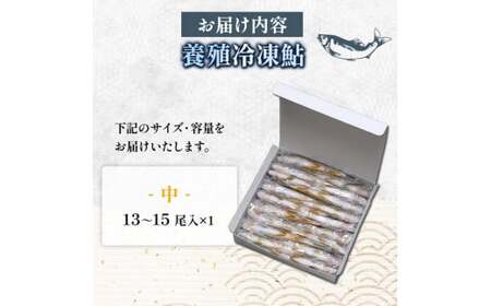 FKK19-826_養殖冷凍鮎 (中:13～15尾入×1) 1kg