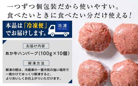 FKK19-219_あか牛100％ハンバーグ（100g×10個） 熊本県 嘉島町