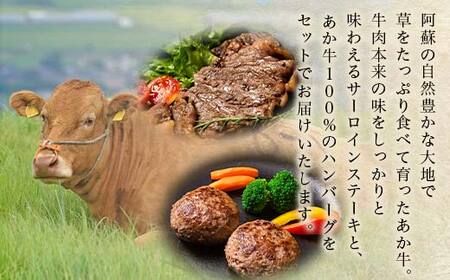 FKK19-266_贅沢セット（あか牛サーロインステーキ440g・あか牛ハンバーグ100g×10個） 熊本県 嘉島町