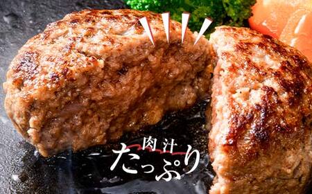 FKK19-267_【3ヵ月定期便】贅沢セット（あか牛サーロインステーキ440g・あか牛ハンバーグ100g×10個） 熊本県 嘉島町