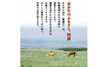 FKK19-991_あか牛切り落とし2.4kg(300g×8パック)