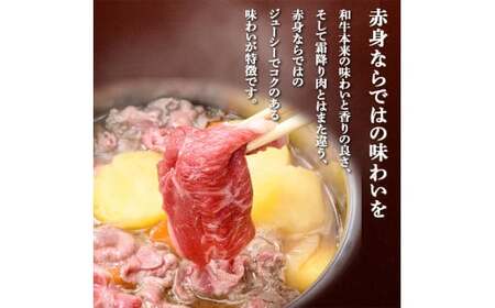 FKK19-989_【3ヶ月定期便】あか牛切り落とし1.2kg(300g×4パック)