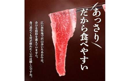 FKK19-990_【6ヶ月定期便】あか牛切り落とし1.2kg(300g×4パック)