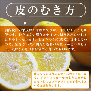 【2025年3月より順次発送】熊本県産　ジューシーオレンジ　約10kg(益城町)【1437713】