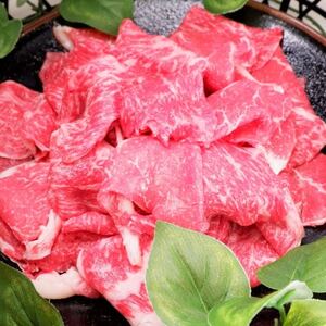 熊本和牛あか牛赤身スライス1kg(500g×2)(益城町)【配送不可地域：離島】【1463322】