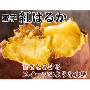 紅はるか 秀品(約5kg)(益城町)【1586865】