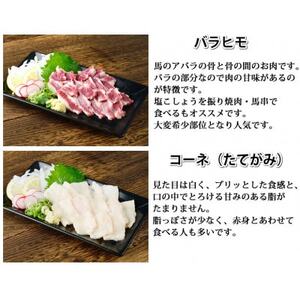 馬刺し 5種 盛り合わせセット 250g 熊本直送(益城町)【配送不可地域：離島】【1592509】