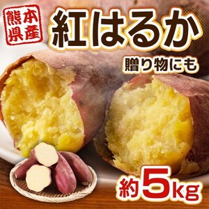 熊本県産 さつまいも 紅はるか 5kg(益城町)【1613652】