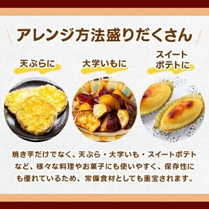 熊本県産 さつまいも 紅はるか 5kg(益城町)【1613652】