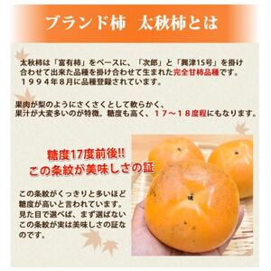 訳あり 太秋柿  約3kg【2026年10月下旬-11月下旬発送予定】(益城町)【1650957】