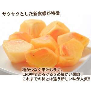 訳あり 太秋柿  約3kg【2026年10月下旬-11月下旬発送予定】(益城町)【1650957】