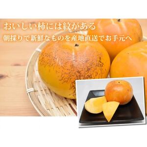 太秋柿 秀品3kg【2026年10月下旬-11月下旬発送予定】(益城町)【1650965】