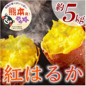 紅はるか　約5kg(9～38個)さつまいも(益城町)【1655084】