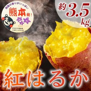 紅はるか　約3.5kg(5～25個)さつまいも(益城町)【1655085】