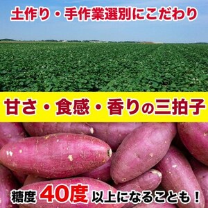 紅はるか　約3.5kg(5～25個)さつまいも(益城町)【1655085】