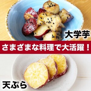 紅はるか　約3.5kg(5～25個)さつまいも(益城町)【1655085】