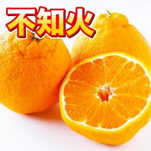 益城町産 不知火 約3kg(益城町)【1663053】