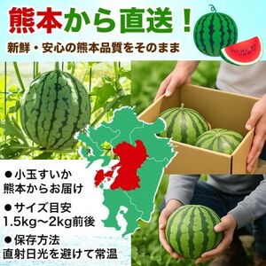 小玉すいか 3～5玉入り M～3Lサイズ 約4.5kg以上(益城町)【1684314】