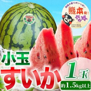 小玉すいか 1玉入り 3Lサイズ 約1.5kg以上(益城町)【1684315】