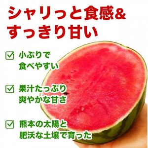 小玉すいか 1玉入り 3Lサイズ 約1.5kg以上(益城町)【1684315】